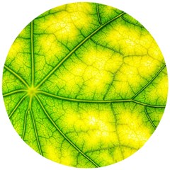 Photosynthesis Leaf Green Structure Wooden Puzzle Round