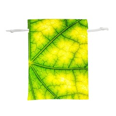 Photosynthesis Leaf Green Structure Lightweight Drawstring Pouch (s)