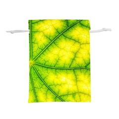 Photosynthesis Leaf Green Structure Lightweight Drawstring Pouch (l)