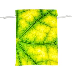 Photosynthesis Leaf Green Structure  Lightweight Drawstring Pouch (xl) by Wegoenart