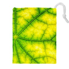 Photosynthesis Leaf Green Structure Drawstring Pouch (4xl)