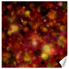 Star Abstract Background Wallpaper Canvas 20  X 20  by Wegoenart