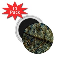 Leaf Leaves Fall Foliage Structure 1 75  Magnets (10 Pack)  by Wegoenart