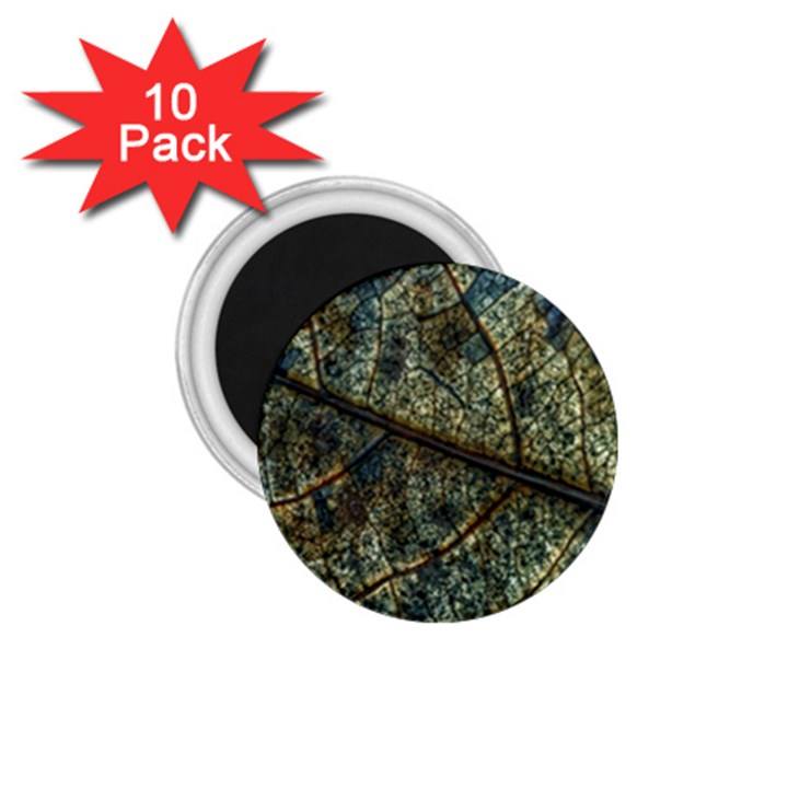 Leaf Leaves Fall Foliage Structure 1.75  Magnets (10 pack) 