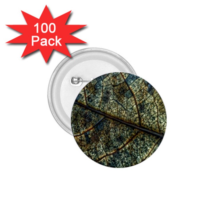 Leaf Leaves Fall Foliage Structure 1.75  Buttons (100 pack) 