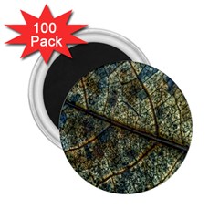 Leaf Leaves Fall Foliage Structure 2 25  Magnets (100 Pack) 