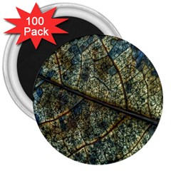 Leaf Leaves Fall Foliage Structure 3  Magnets (100 Pack) by Wegoenart