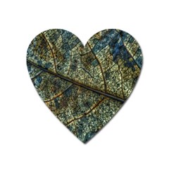 Leaf Leaves Fall Foliage Structure Heart Magnet by Wegoenart