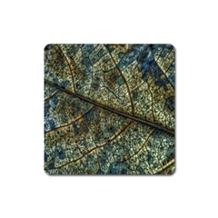 Leaf Leaves Fall Foliage Structure Square Magnet by Wegoenart