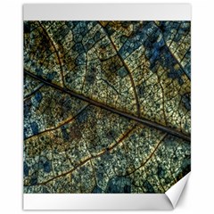 Leaf Leaves Fall Foliage Structure Canvas 11  X 14  by Wegoenart