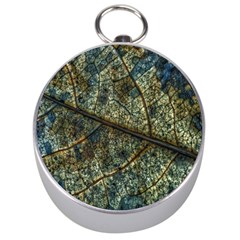 Leaf Leaves Fall Foliage Structure Silver Compasses by Wegoenart