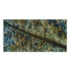 Leaf Leaves Fall Foliage Structure Satin Shawl by Wegoenart