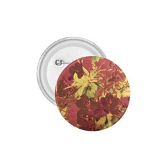 Tropical Vintage Floral Artwork Print 1 75  Buttons