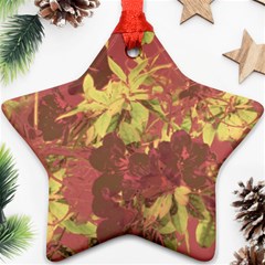 Tropical Vintage Floral Artwork Print Star Ornament (two Sides)