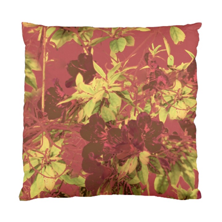 Tropical Vintage Floral Artwork Print Standard Cushion Case (Two Sides)