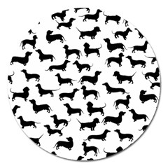 Dachshunds! Magnet 5  (round) by ZeeBee