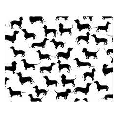 Dachshunds! Double Sided Flano Blanket (large)  by ZeeBee