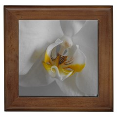 Orchidée Blanche Fleur Framed Tile by kcreatif