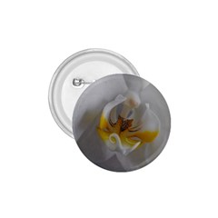 Orchidée Blanche Fleur 1 75  Buttons by kcreatif