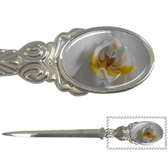 Orchidée Blanche Fleur Letter Opener by kcreatif