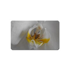 Orchidée Blanche Fleur Magnet (name Card) by kcreatif