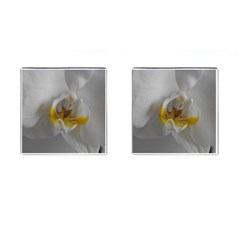 Orchidée Blanche Fleur Cufflinks (square) by kcreatif