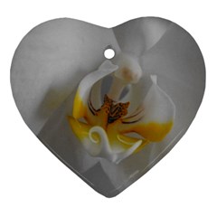 Orchidée Blanche Fleur Heart Ornament (two Sides) by kcreatif