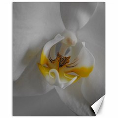 Orchidée Blanche Fleur Canvas 16  X 20  by kcreatif