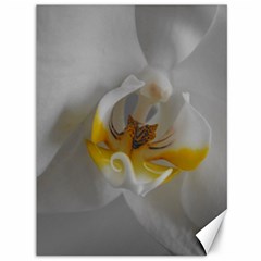 Orchidée Blanche Fleur Canvas 36  X 48  by kcreatif