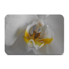 Orchidée Blanche Fleur Plate Mats by kcreatif