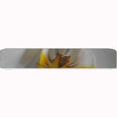 Orchidée Blanche Fleur Small Bar Mats by kcreatif