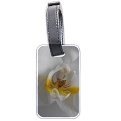 Orchidée Blanche Fleur Luggage Tag (two Sides) by kcreatif