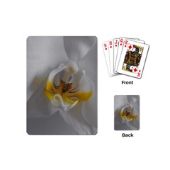 Orchidée Blanche Fleur Playing Cards Single Design (mini) by kcreatif