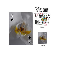 Orchidée Blanche Fleur Playing Cards 54 Designs (mini) by kcreatif