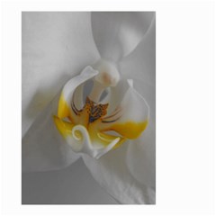 Orchidée Blanche Fleur Small Garden Flag (two Sides) by kcreatif