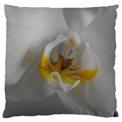 Orchidée Blanche Fleur Large Cushion Case (two Sides) by kcreatif