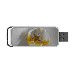 Orchidée Blanche Fleur Portable Usb Flash (two Sides) by kcreatif