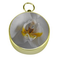 Orchidée Blanche Fleur Gold Compasses by kcreatif