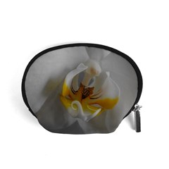 Orchidée Blanche Fleur Accessory Pouch (small) by kcreatif