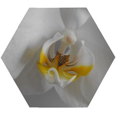 Orchidée Blanche Fleur Wooden Puzzle Hexagon