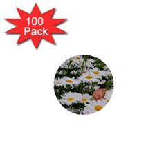 Champs de marguerites 1  Mini Buttons (100 pack) 