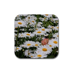 Champs de marguerites Rubber Coaster (Square) 