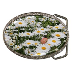 Champs de marguerites Belt Buckles