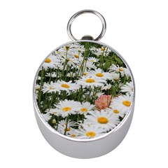 Champs de marguerites Mini Silver Compasses