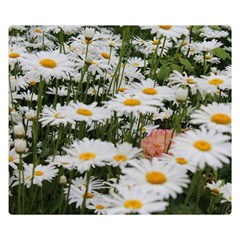 Champs de marguerites Double Sided Flano Blanket (Small) 