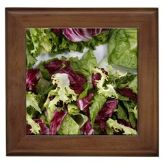 Salad Lettuce Vegetable Framed Tile by Sapixe