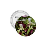 Salad Lettuce Vegetable 1.75  Buttons Front