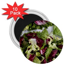 Salad Lettuce Vegetable 2 25  Magnets (10 Pack)  by Sapixe