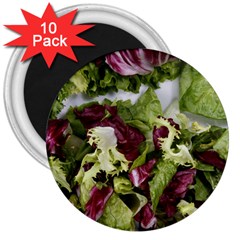 Salad Lettuce Vegetable 3  Magnets (10 Pack)  by Sapixe