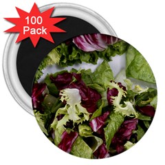 Salad Lettuce Vegetable 3  Magnets (100 Pack) by Sapixe